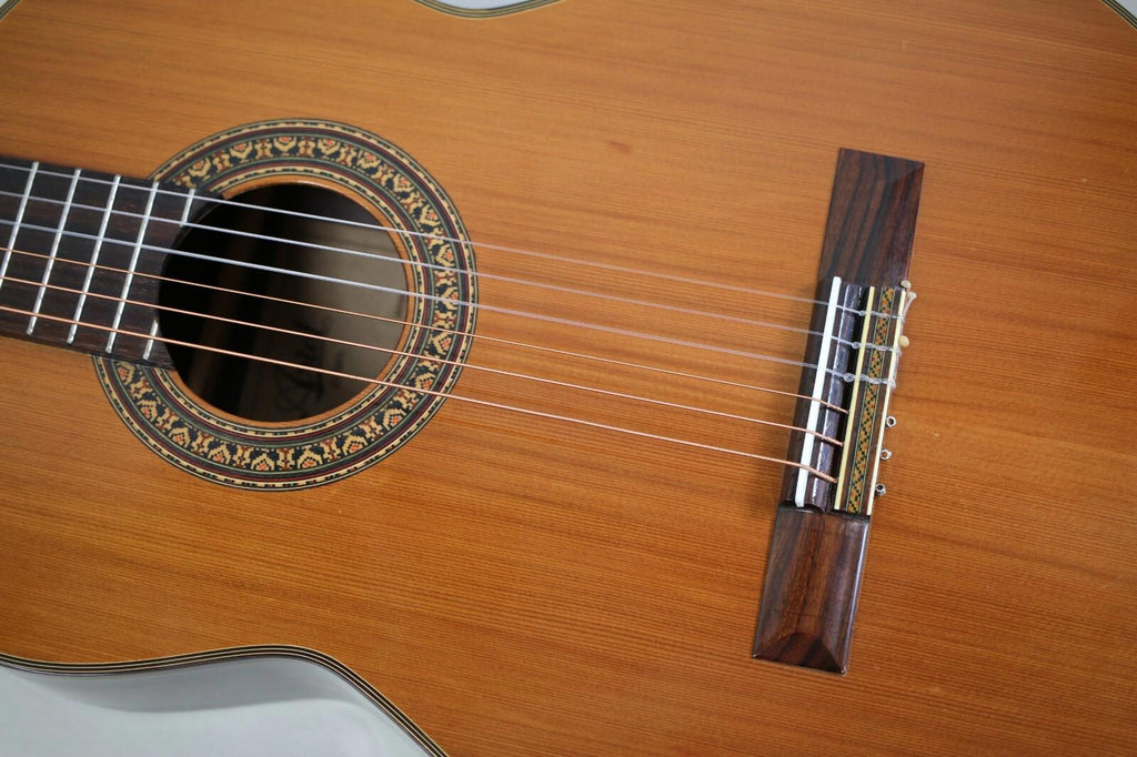 Rare  Vintage Classical Ariel (Aria) Acoustic Guitar Model 53 Laminate Wood MIJ